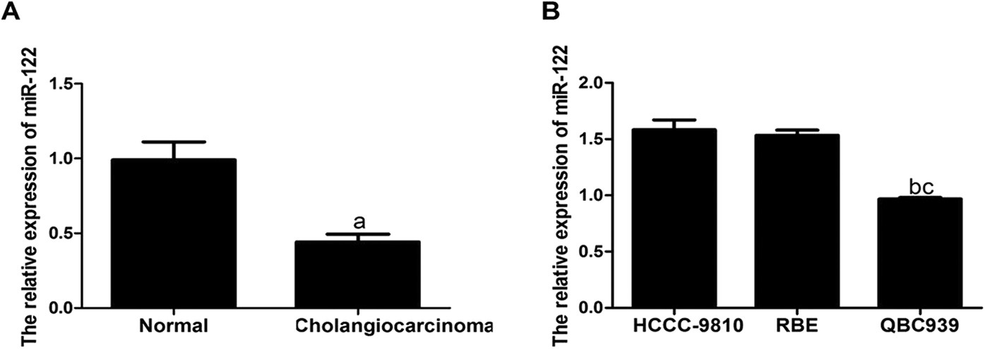 The Roles Of Microrna 122 Overexpression In Inhibiting