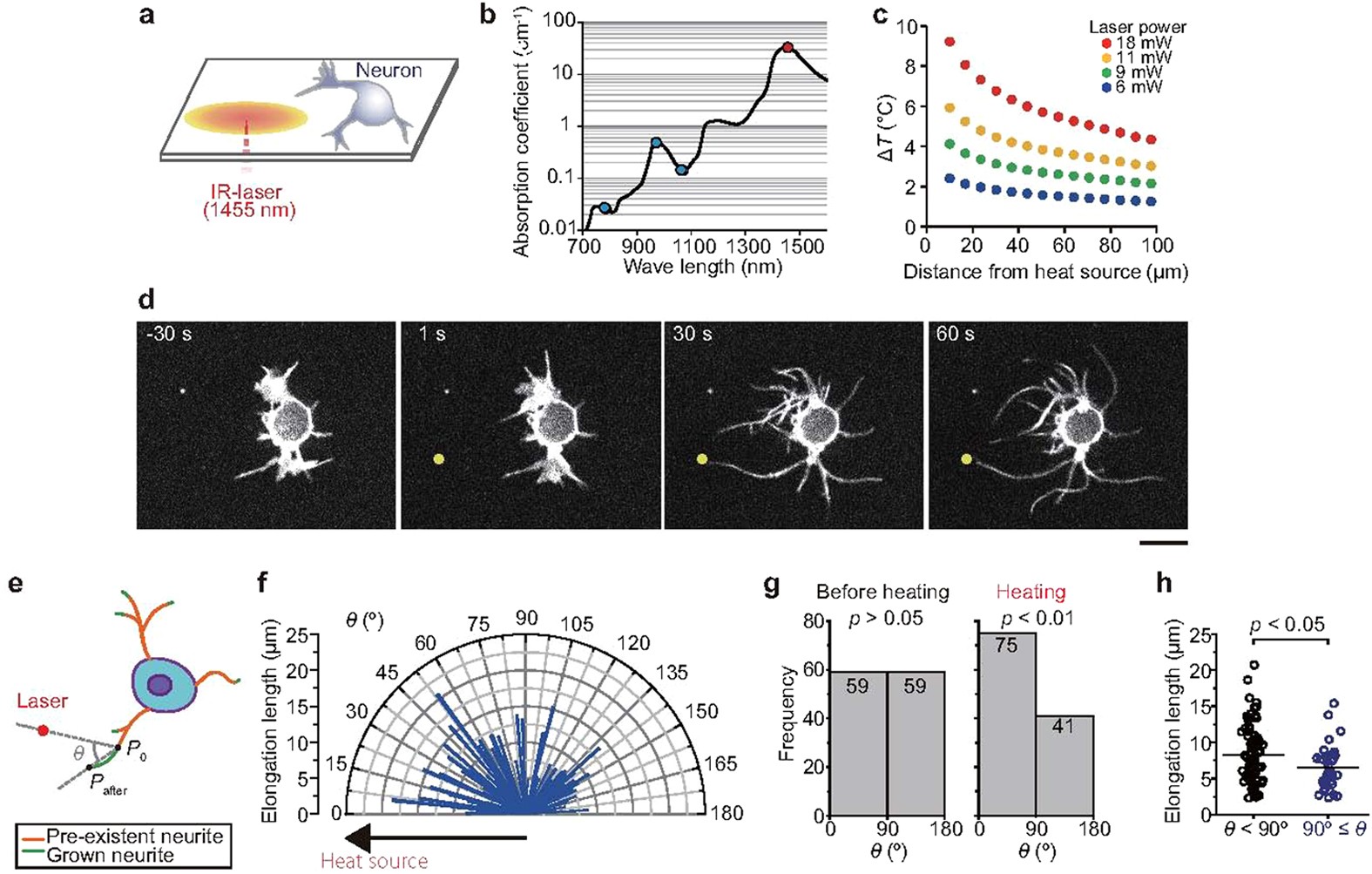 Triggering of high-speed neurite outgrowth using an optical microheater |  Scientific Reports