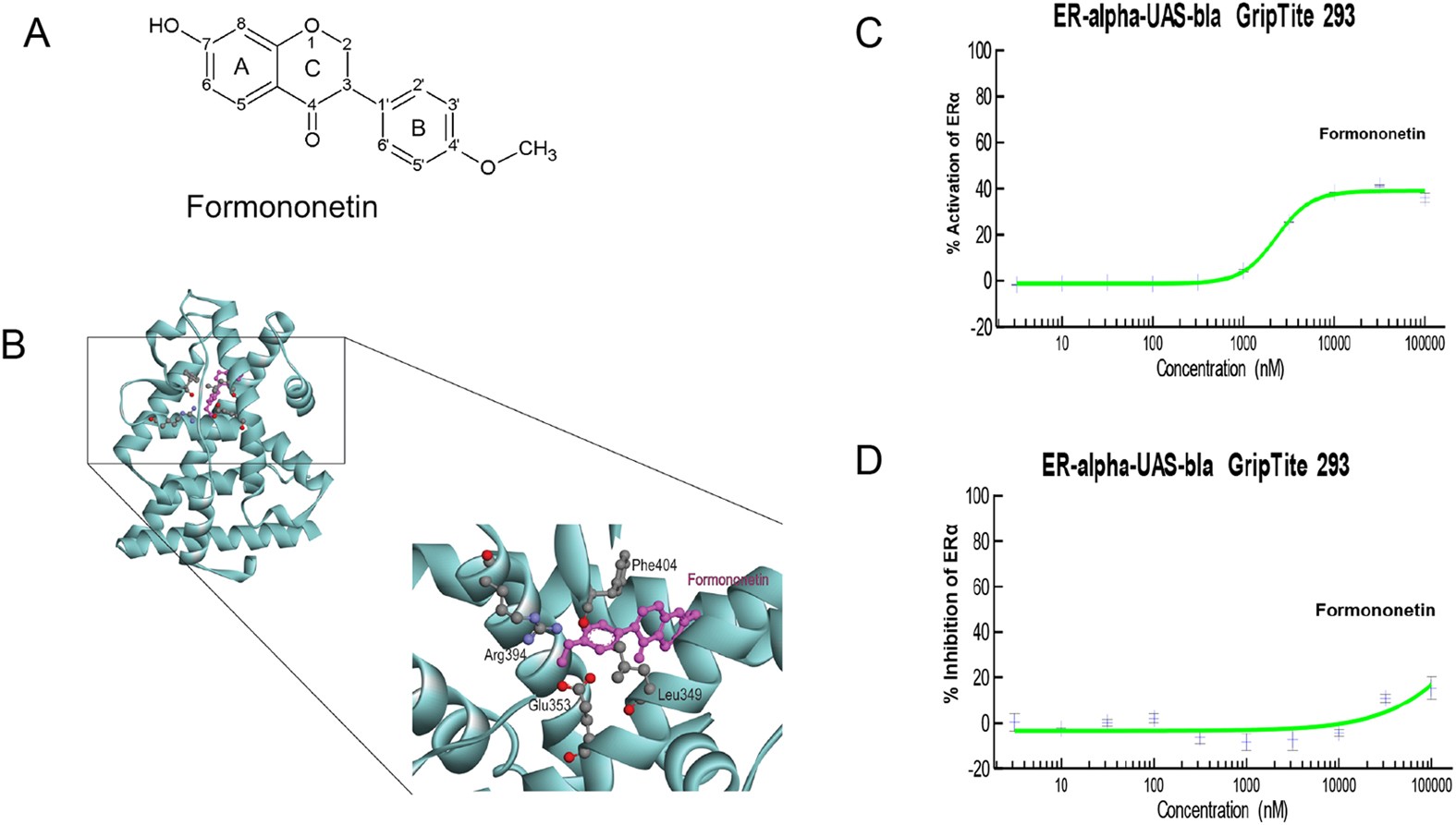 Estrogen Pathway Chart