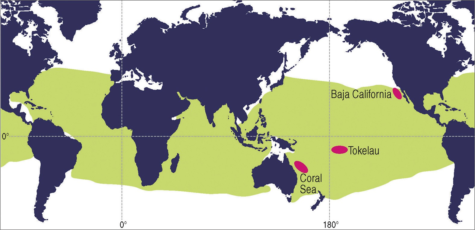 Bluefin Tuna Habitat Map Evidence Of Discrete Yellowfin Tuna (Thunnus Albacares) Populations Demands  Rethink Of Management For This Globally Important Resource | Scientific  Reports