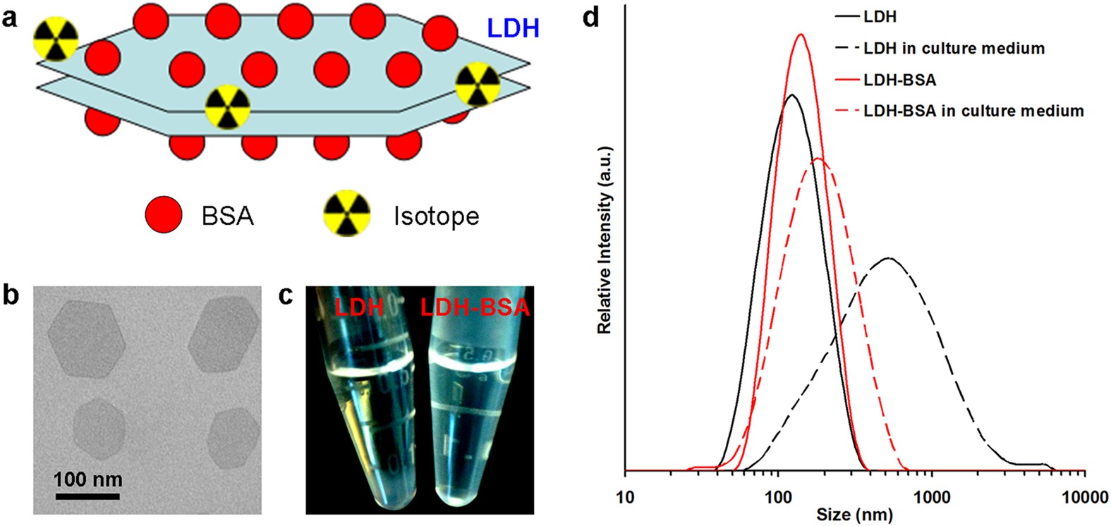 Labeling of Layered Double for in Vivo Imaging | Scientific Reports