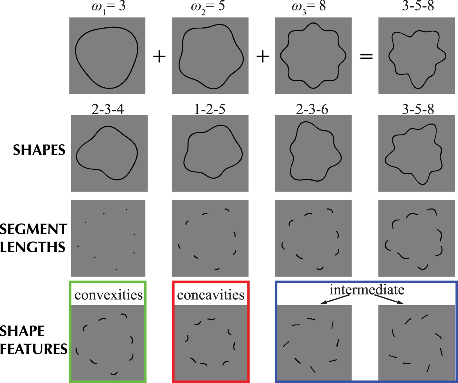 Shape recognition: convexities, concavities and things in between