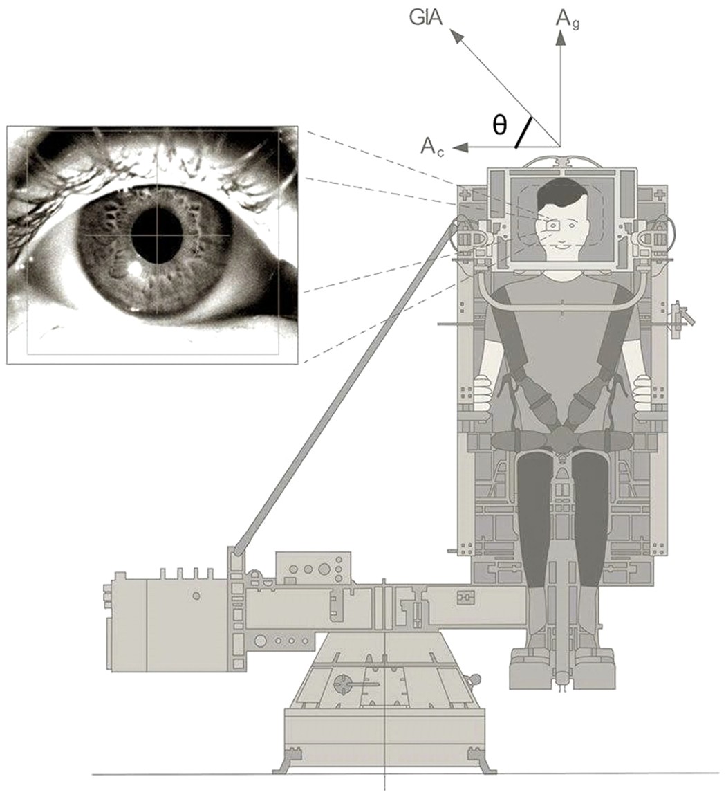 Dysfunctional Vestibular System Causes A Blood Pressure Drop In Astronauts Returning From Space Scientific Reports