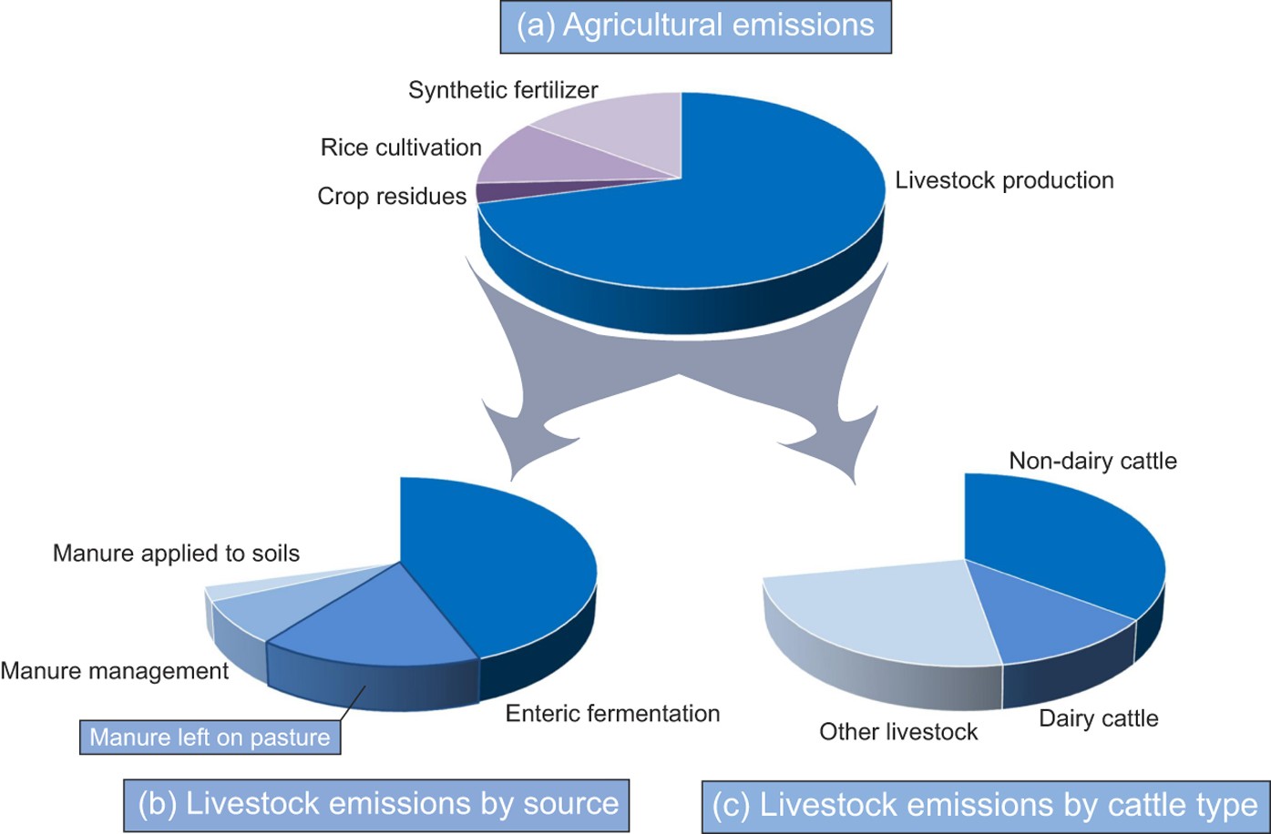 The Role Of Dung Beetles In Reducing Greenhouse Gas Emissions From