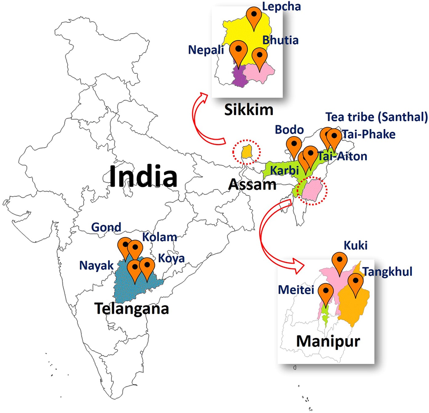 Human Rights of Tribals (Status of Tribal in India), Vol. 1