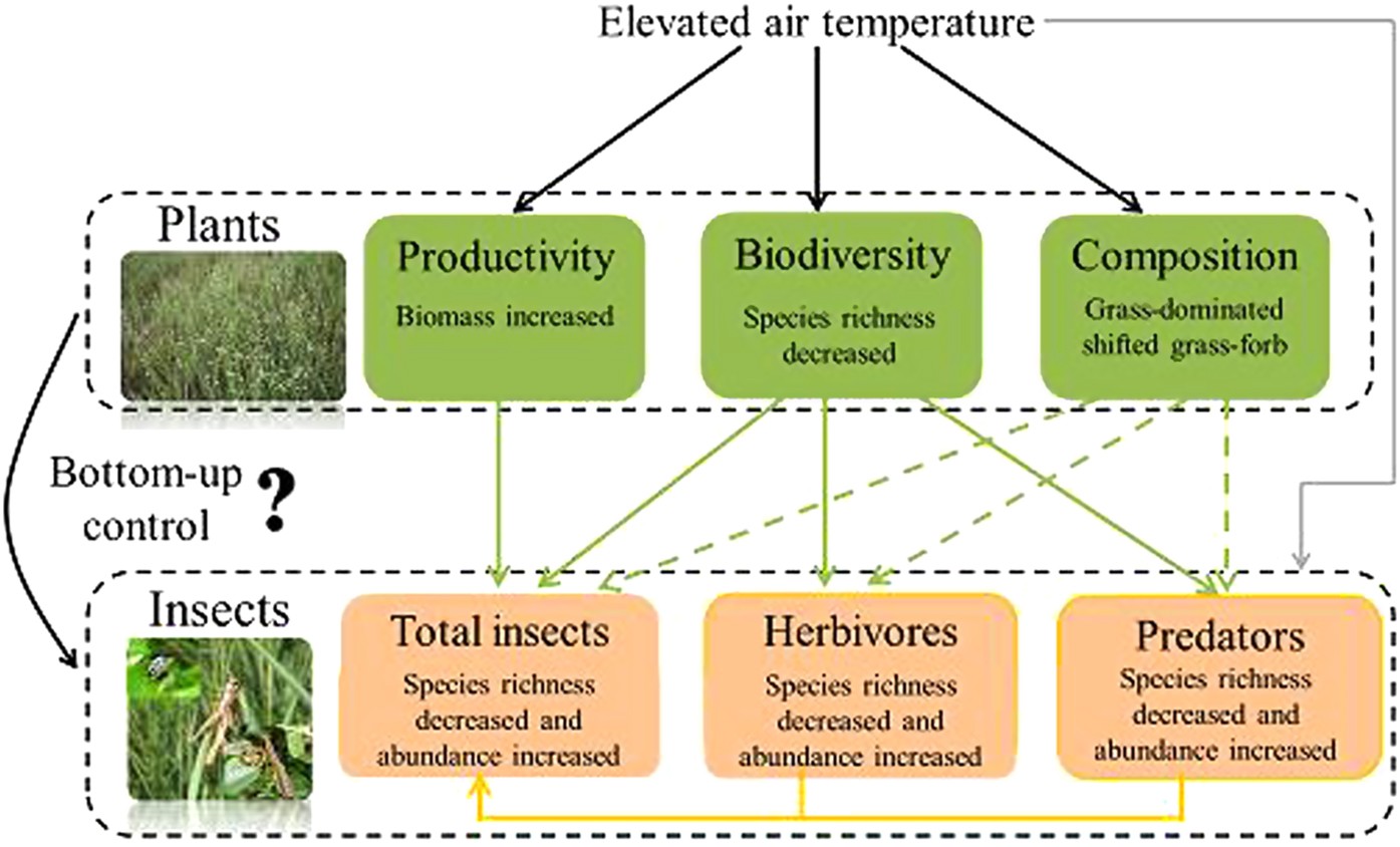 Responses of community-level plant-insect interactions to climate warming  in a meadow steppe | Scientific Reports