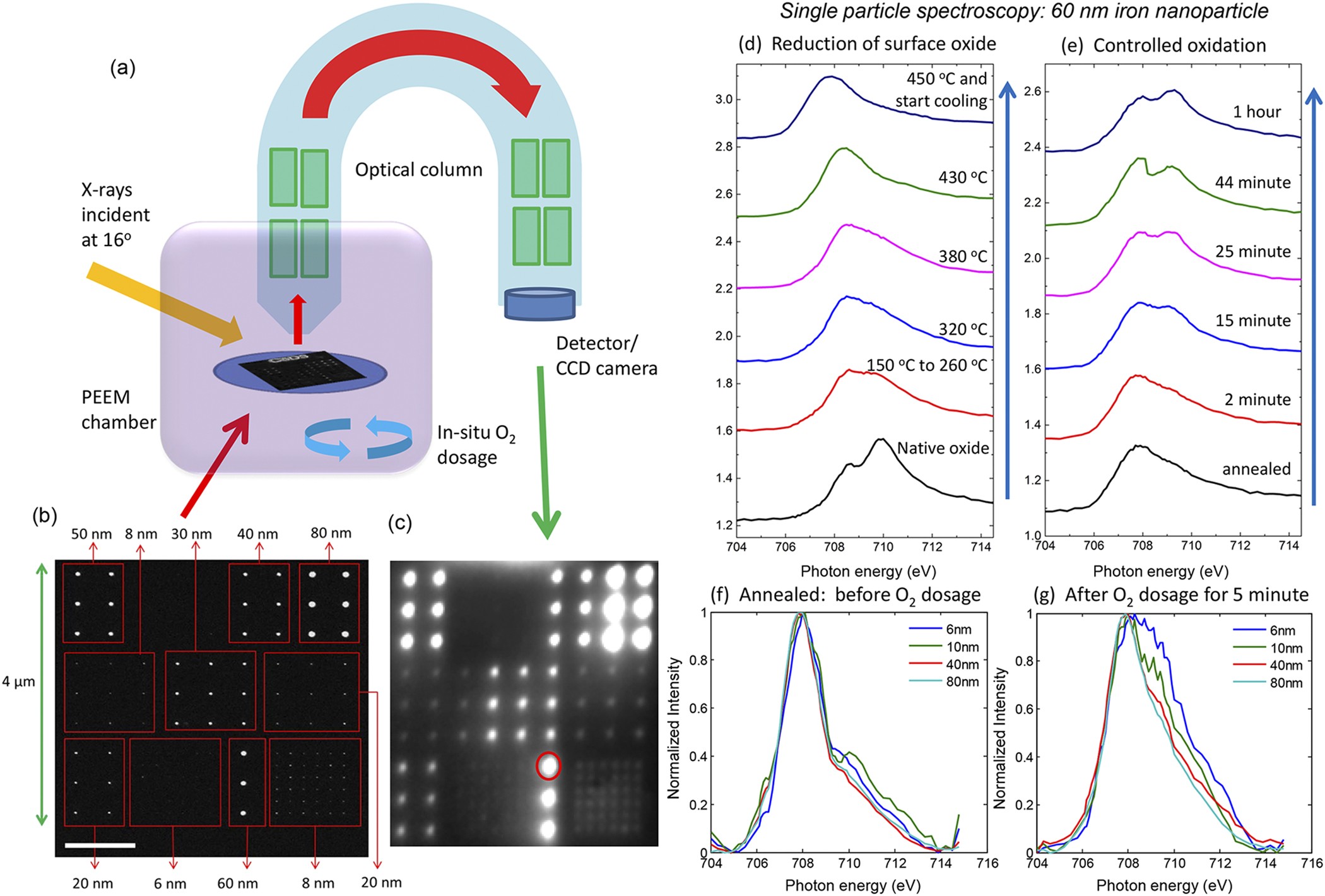 ускорительный масс-спектрометр. Absorption spectroscopy. призма для спектроскопии. Spectroscopy journals. Eels spectroscopy.