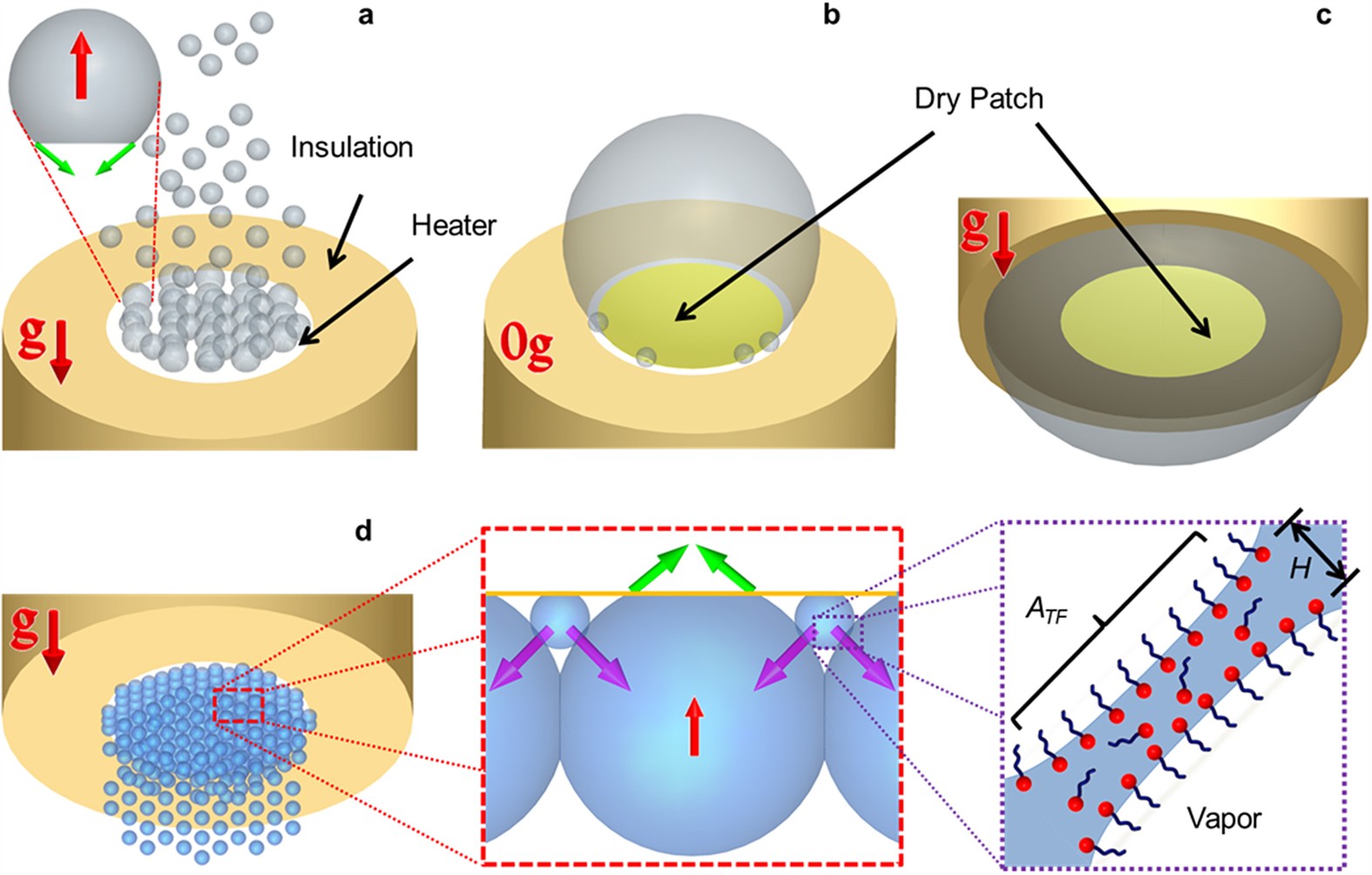 Surfactants for Bubble Removal against Buoyancy | Scientific Reports