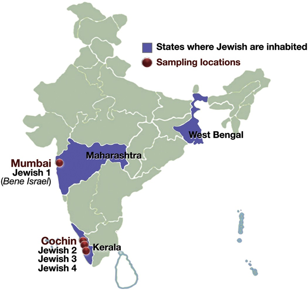 Genetic affinities of the Jewish populations of India | Scientific Reports