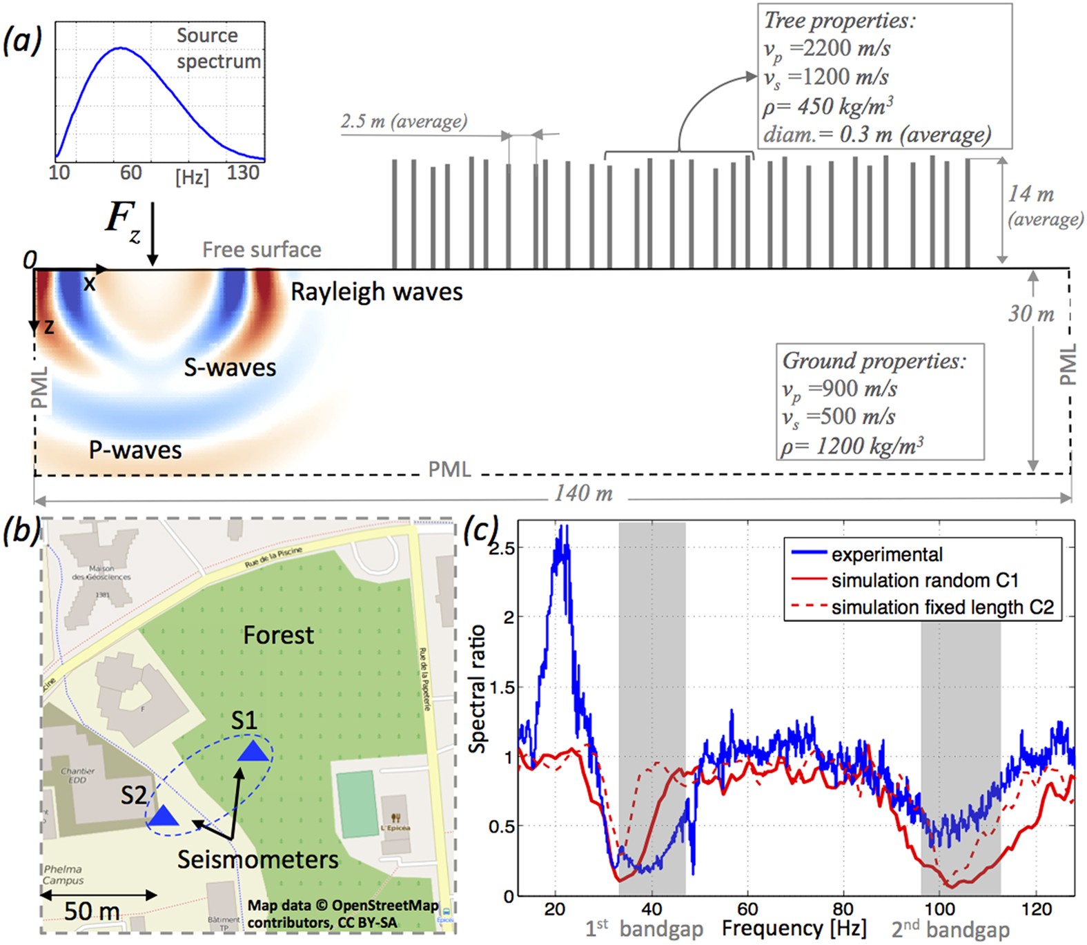 Forests As A Natural Seismic Metamaterial Rayleigh Wave