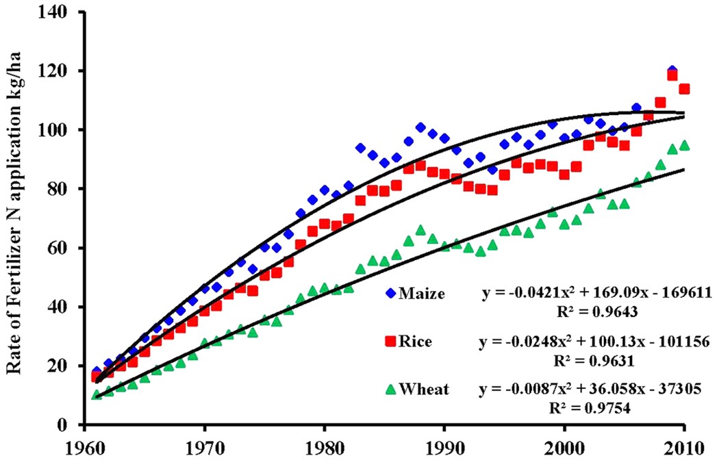 Global nitrogen budgets in cereals: A 50-year assessment for maize, rice  and wheat production systems | Scientific Reports