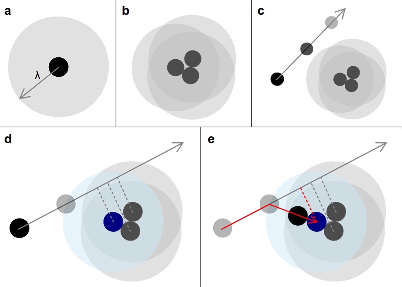 Fractality A La Carte A General Particle Aggregation Model Scientific Reports