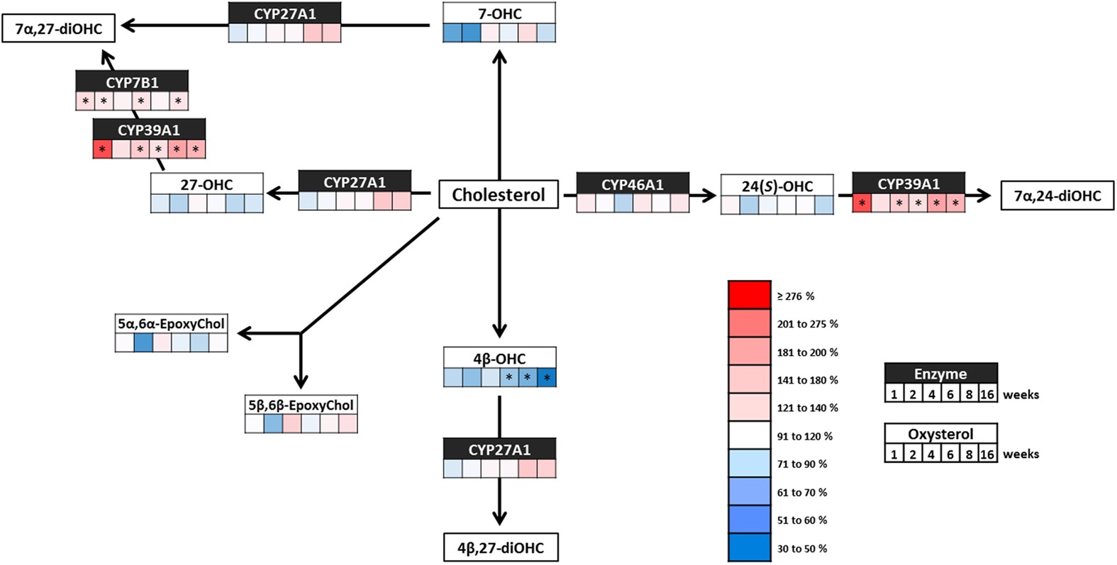 Obesity is associated with changes in oxysterol metabolism and levels in  mice liver, hypothalamus, adipose tissue and plasma | Scientific Reports