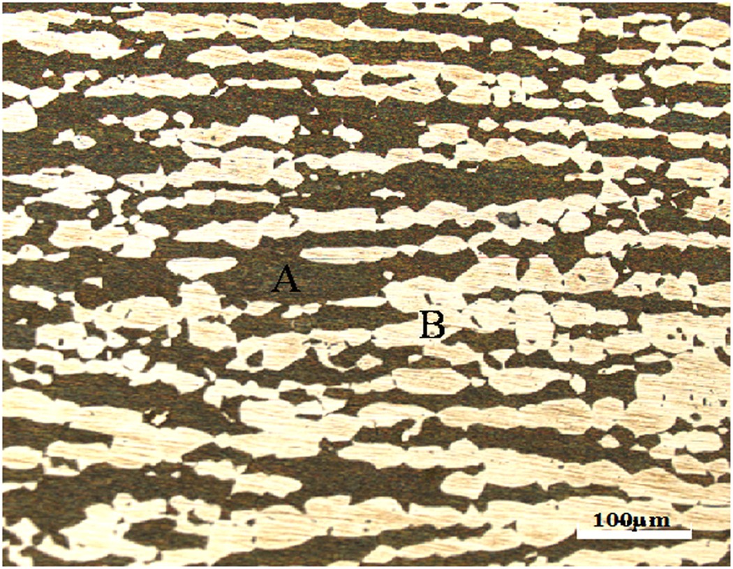 Microbiologically Influenced Corrosion Of 2707 Hyper Duplex Stainless Steel By Marine Pseudomonas Aeruginosa Biofilm Scientific Reports Microbiologically Influenced Corrosion Of 2707 Hyper Duplex Stainless Steel By Marine Pseudomonas Aeruginosa Biofilm Scientific Reports
