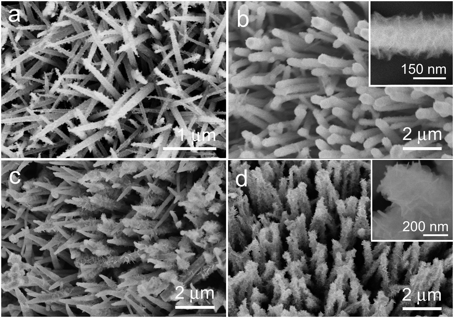 Electrochemical Energy Storage Application and Degradation Analysis of  Carbon-Coated Hierarchical NiCo2S4 Core-Shell Nanowire Arrays Grown  Directly on Graphene/Nickel Foam | Scientific Reports