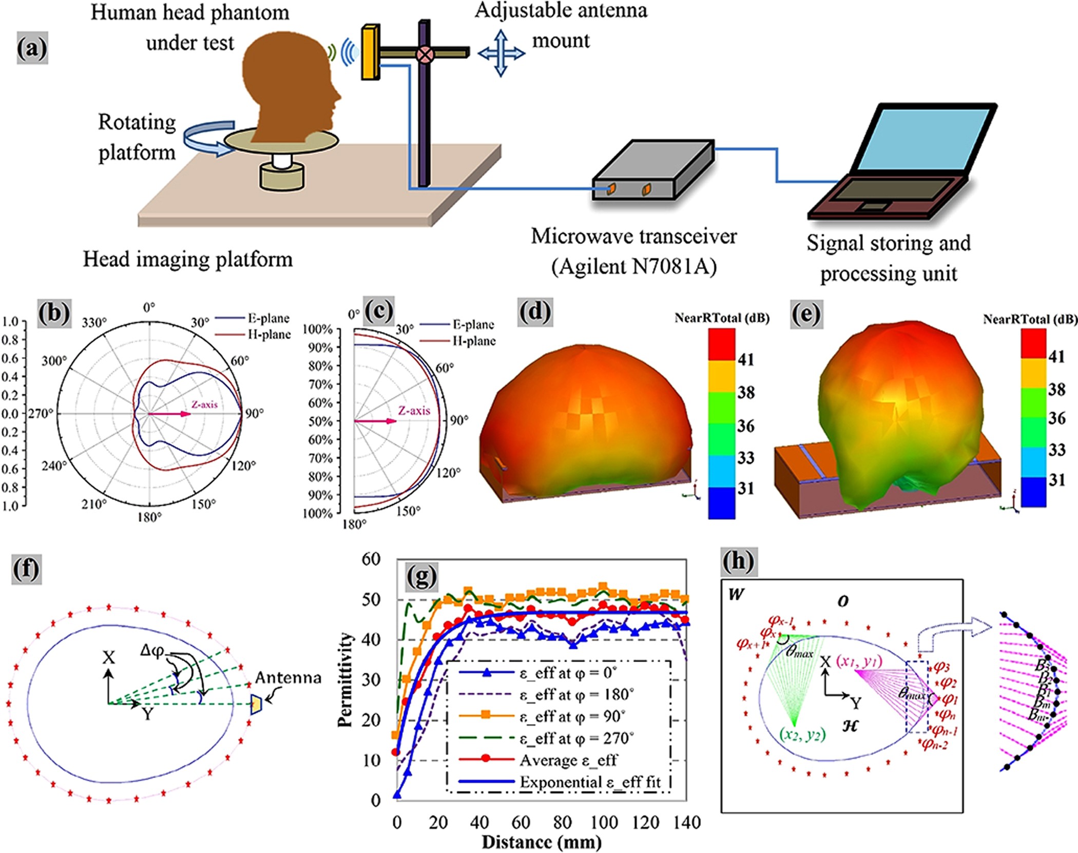 Portable Wideband Microwave Imaging System for Intracranial Hemorrhage  Detection Using Improved Back-projection Algorithm with Model of Effective  Head Permittivity | Scientific Reports