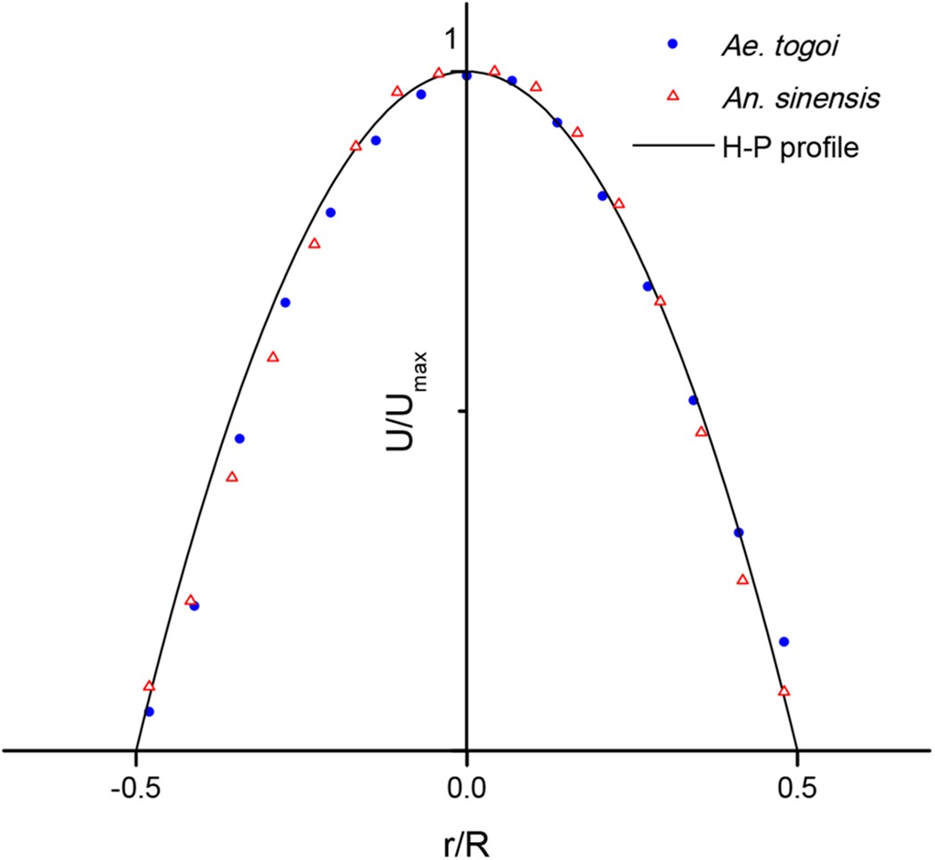 Peculiar Liquid Feeding And Pathogen Transmission Behavior Of Aedes Togoi And Comparison With Anopheles Sinensis Scientific Reports Peculiar Liquid Feeding And Pathogen Transmission Behavior Of Aedes Togoi And Comparison With Anopheles Sinensis Scientific Reports