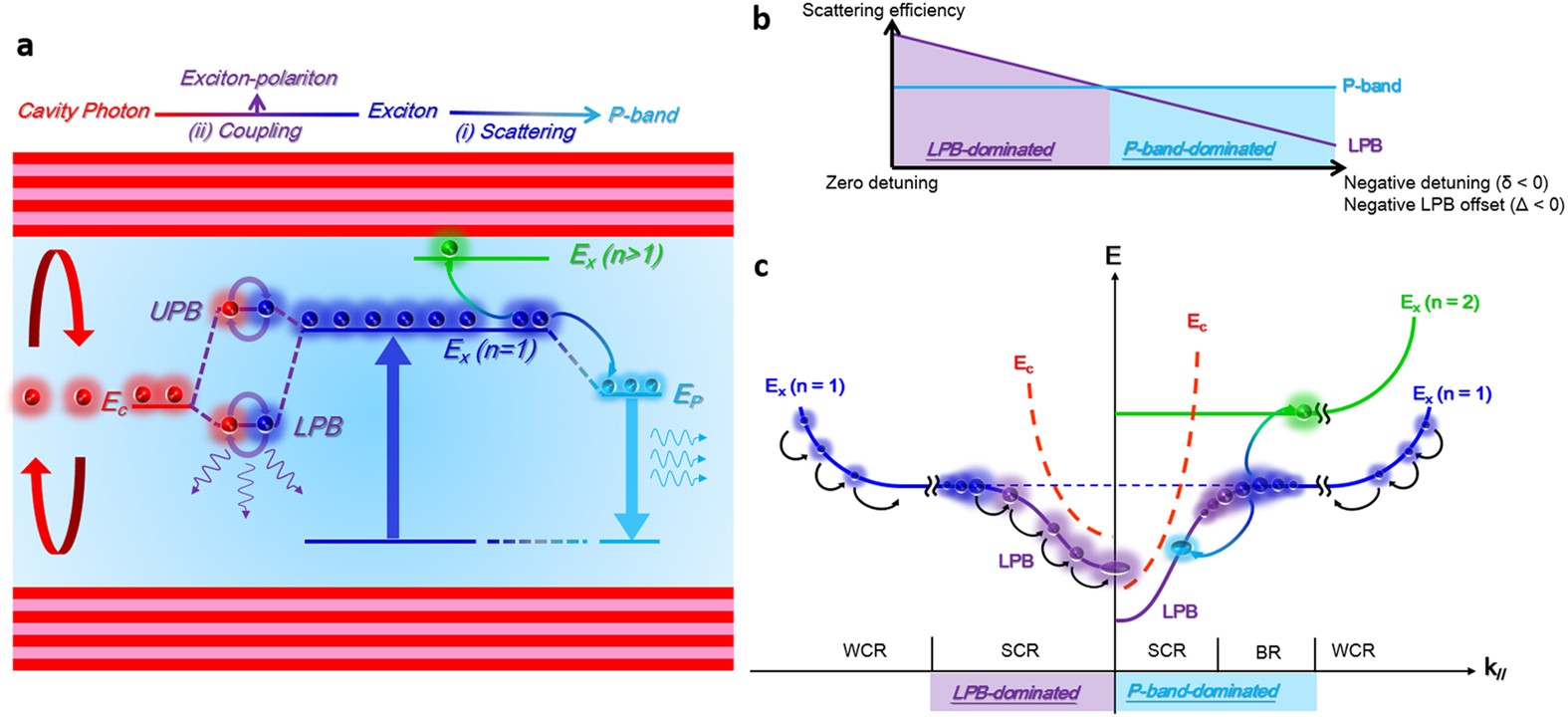 Crossover from polariton lasing to exciton lasing in a strongly coupled ZnO  microcavity | Scientific Reports
