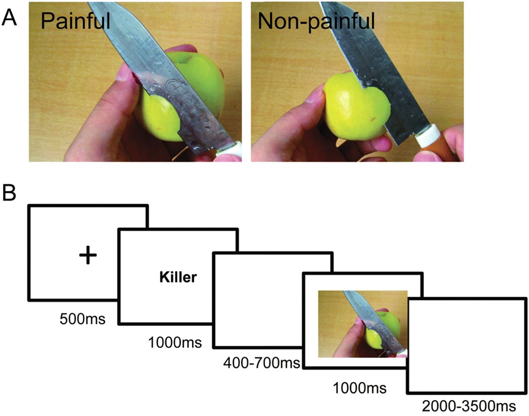 Moral Judgment Modulates Neural Responses To The Perception Of