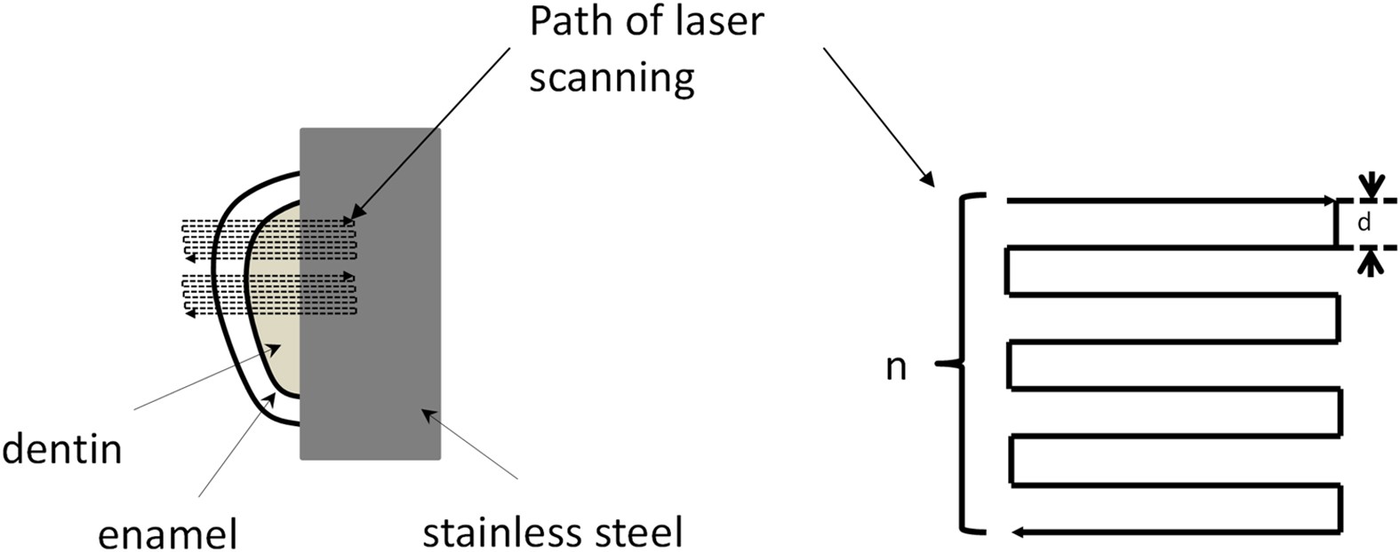 Advanced laser scanning for highly-efficient ablation and ultrafast surface  structuring: experiment and model