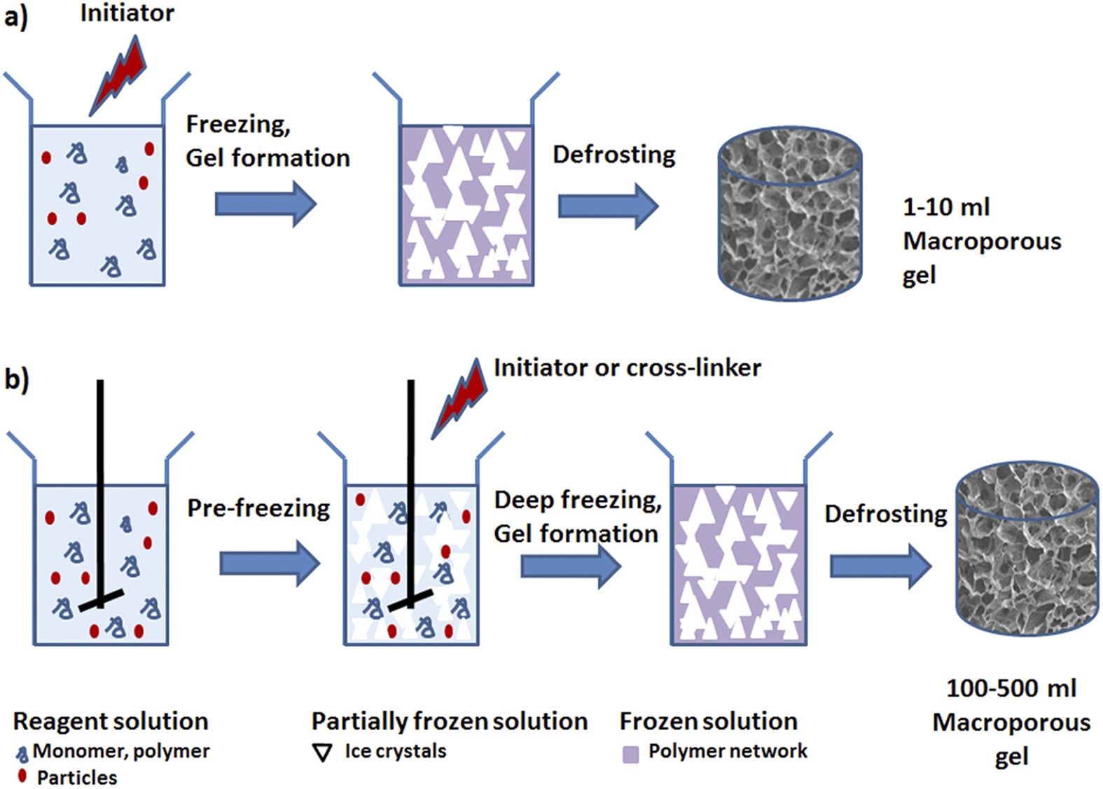 A Simple Method For The Production Of Large Volume 3d Macroporous Hydrogels For Advanced Biotechnological Medical And Environmental Applications Scientific Reports