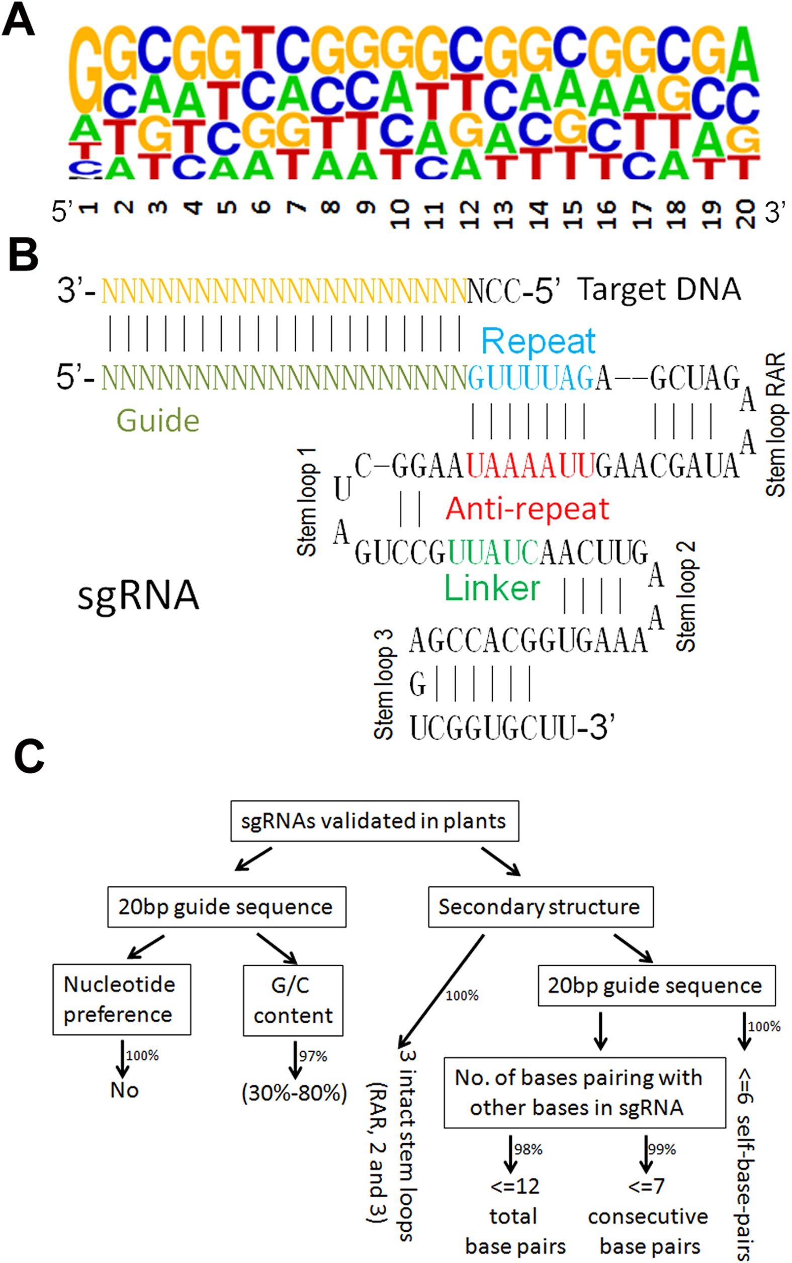 Selection Of Highly Efficient Sgrnas For Crispr Cas9 Based Plant Genome Editing Scientific Reports