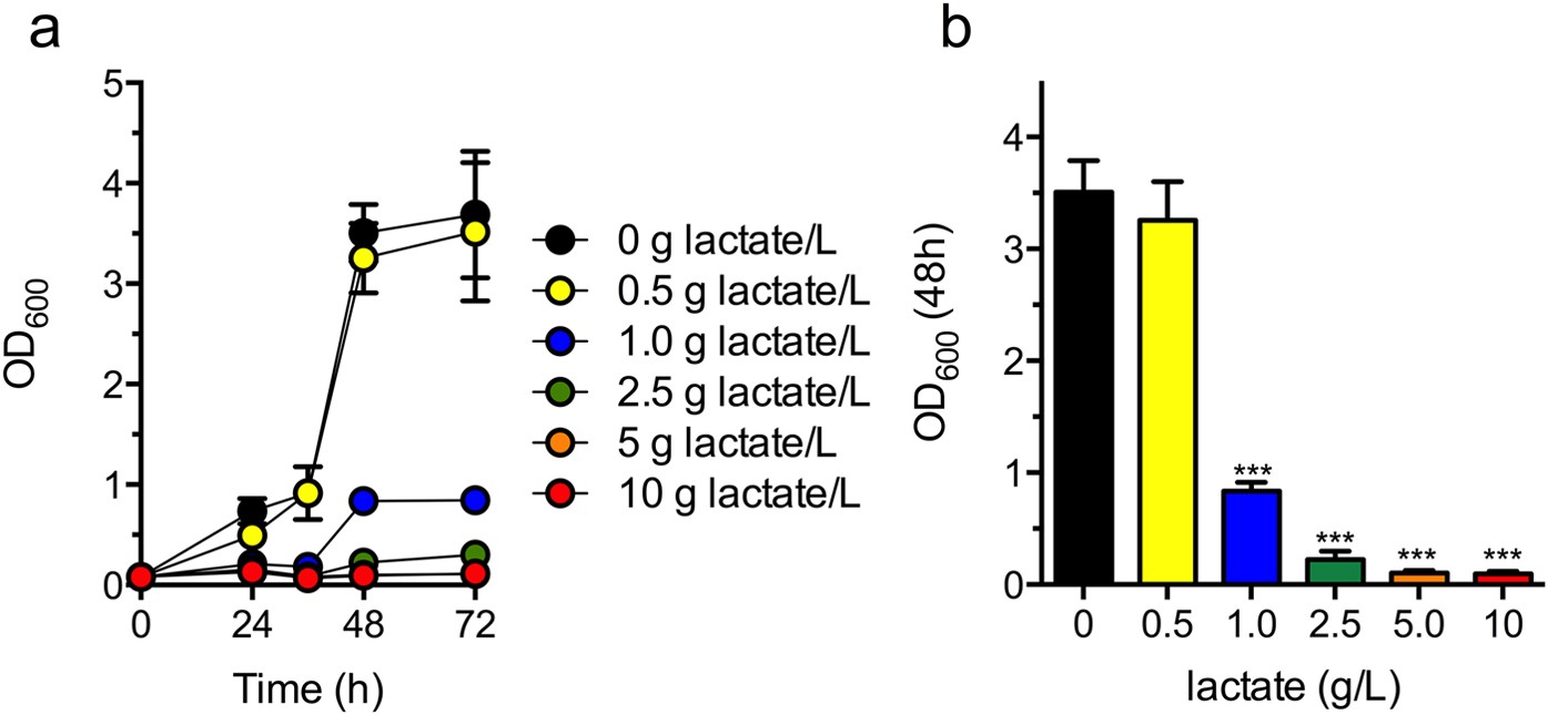 Bioconversion Of Methane To Lactate By An Obligate Methanotrophic Bacterium Scientific Reports