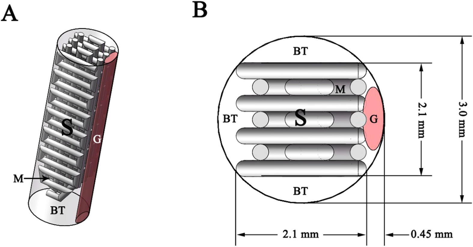 3d Printing Surgical Implants At The Clinic A Experimental Study On Anterior Cruciate Ligament Reconstruction Scientific Reports 3d Printing Surgical Implants At The Clinic A Experimental Study On Anterior Cruciate Ligament Reconstruction Scientific Reports