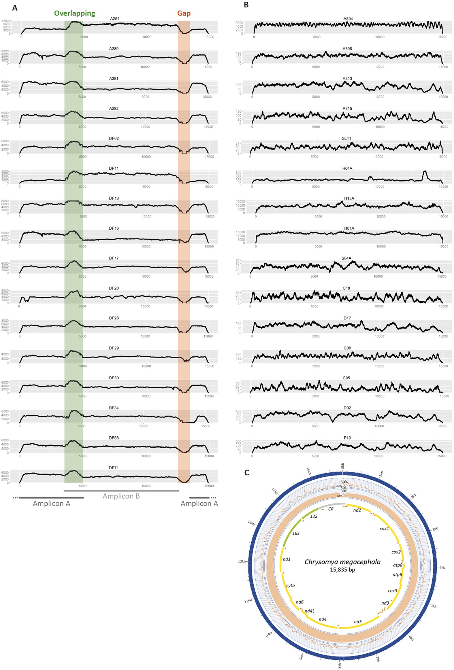 Large Scale Mitogenomics Enables Insights Into Schizophora Diptera Radiation And Population Diversity Scientific Reports