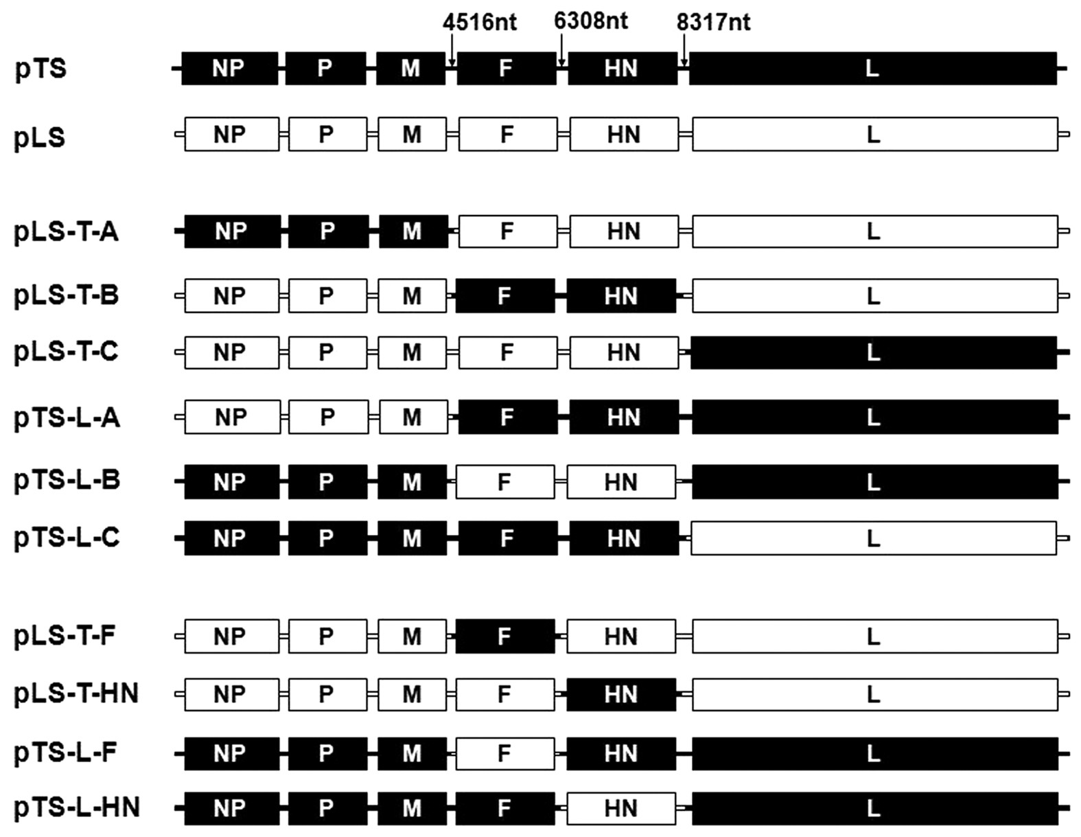 Molecular Basis For The Thermostability Of Newcastle Disease Virus Scientific Reports Molecular Basis For The Thermostability Of Newcastle Disease Virus Scientific Reports