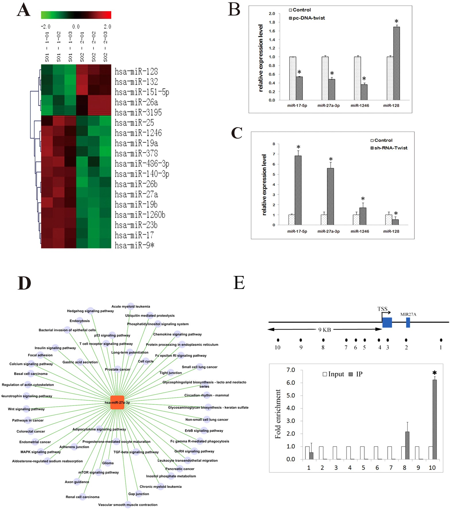 Mir 27a 3p Suppresses Tumor Metastasis And Vm By Down Regulating