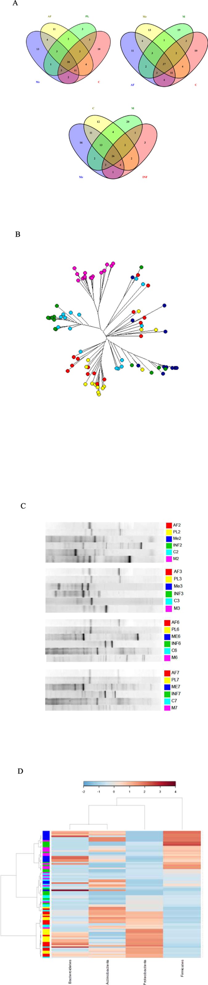 Figure 3: Shared microbial features between maternal faeces (M), placenta (PL), amniotic fluid (AF), colostrum (C), meconium (Me) and infant faeces (INF) samples.