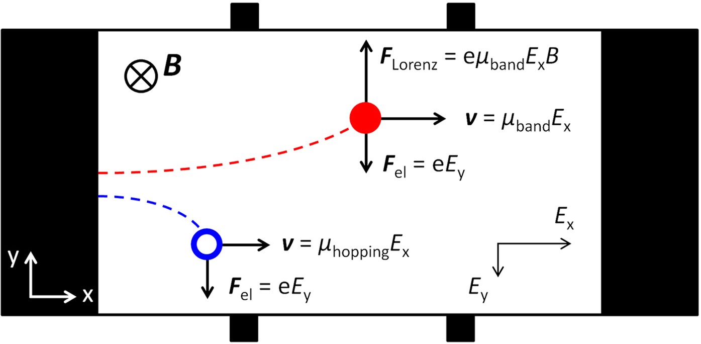 Charge Carrier Coherence And Hall Effect In Organic Semiconductors Scientific Reports Charge Carrier Coherence And Hall Effect In Organic Semiconductors Scientific Reports