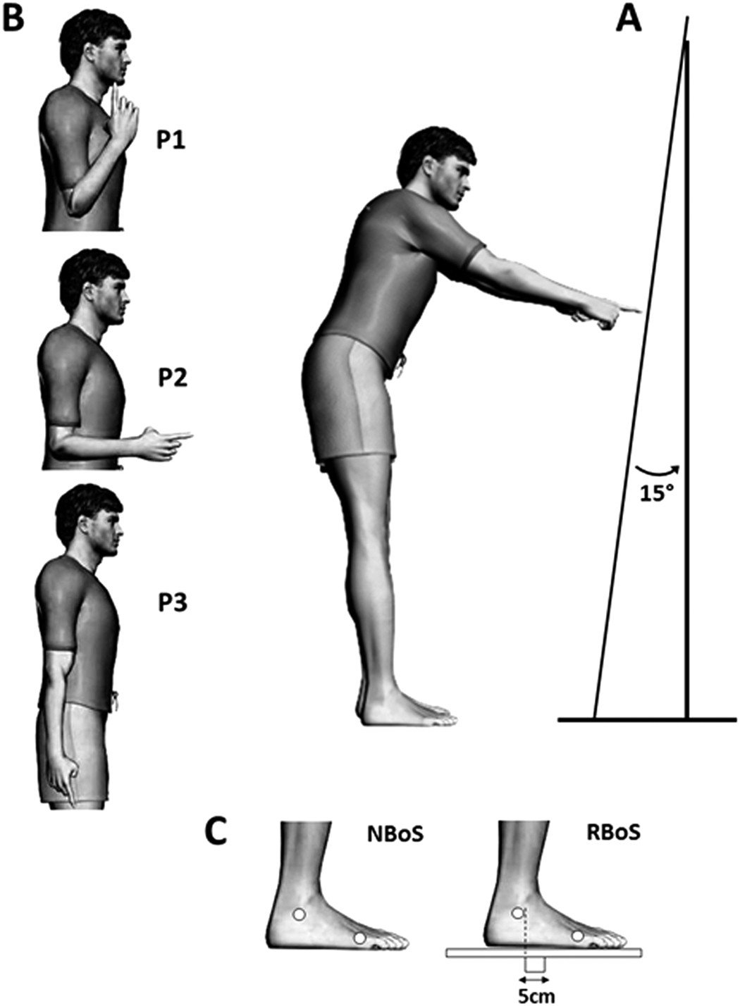 Evidence for subjective values guiding posture and movement