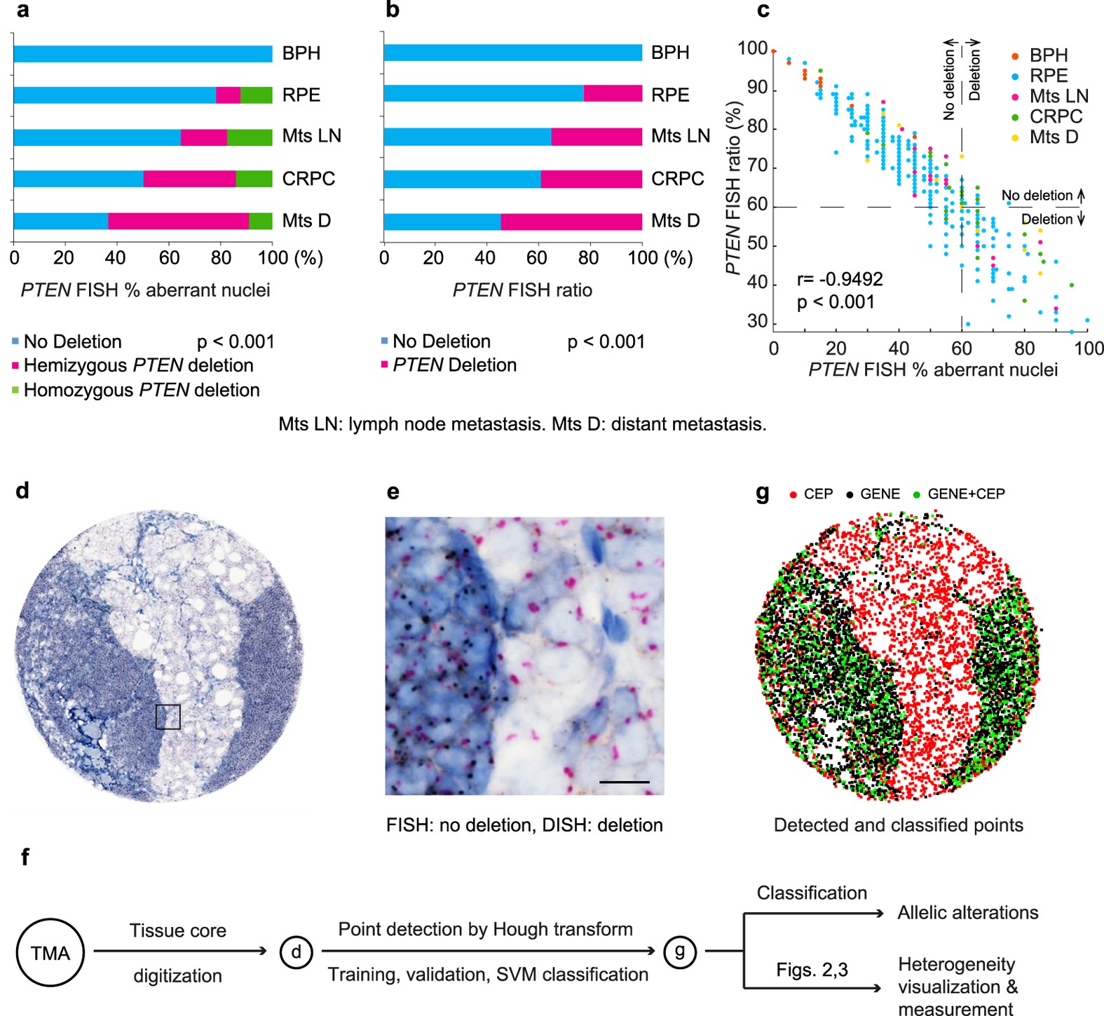 Image Based Computational Quantification And Visualization Of Genetic Alterations And Tumour Heterogeneity Scientific Reports