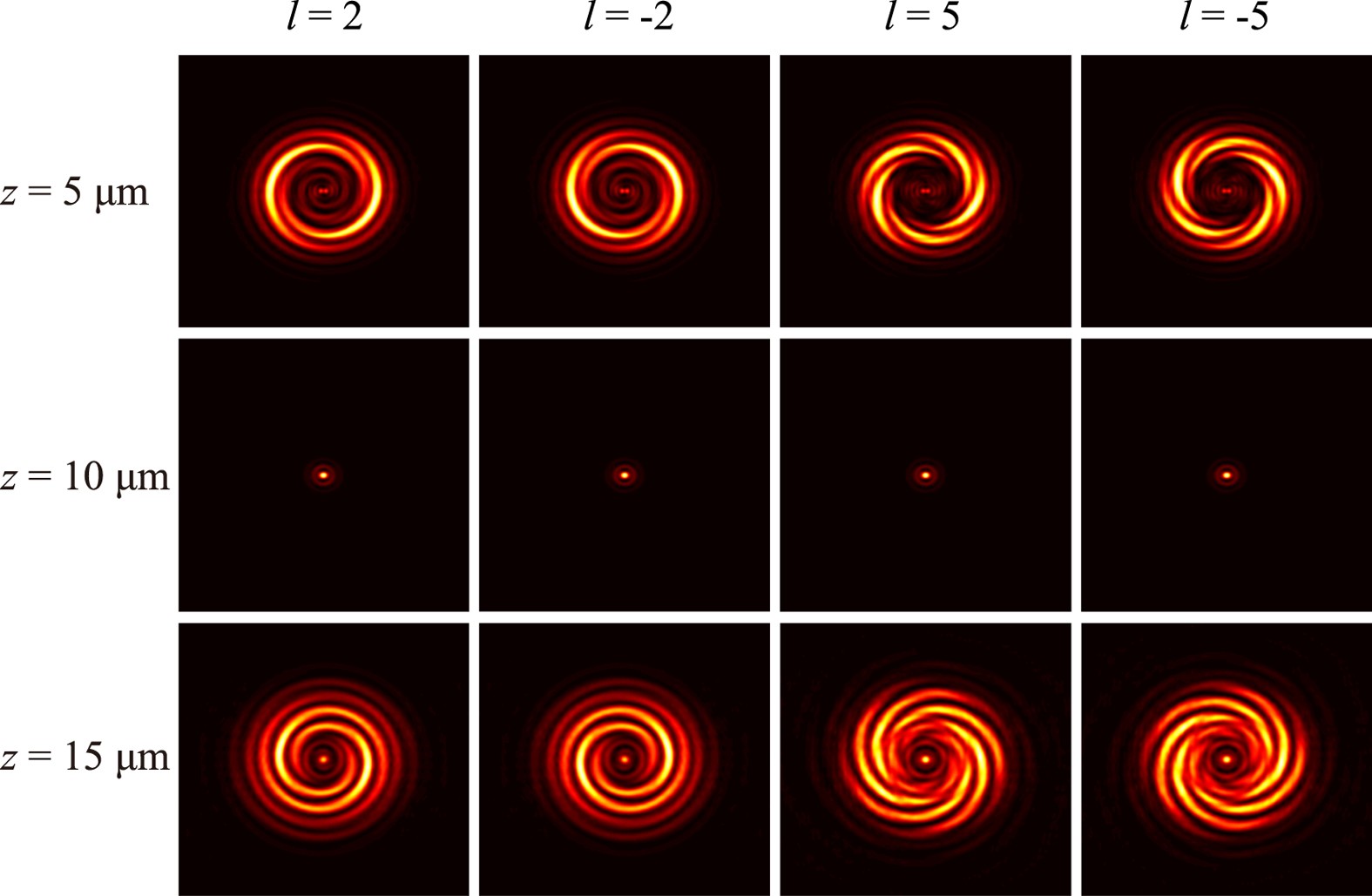 Figure 5: Numerical results with linear polarized incident light for l = +2, −2, +5, −5.