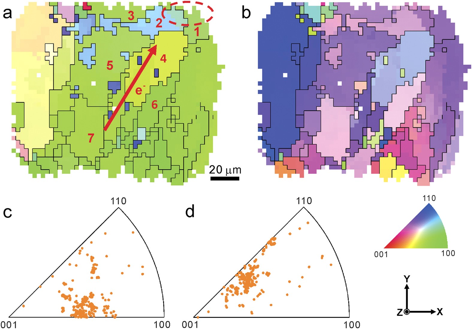 Microscope image of electromigration-induced hillock and void