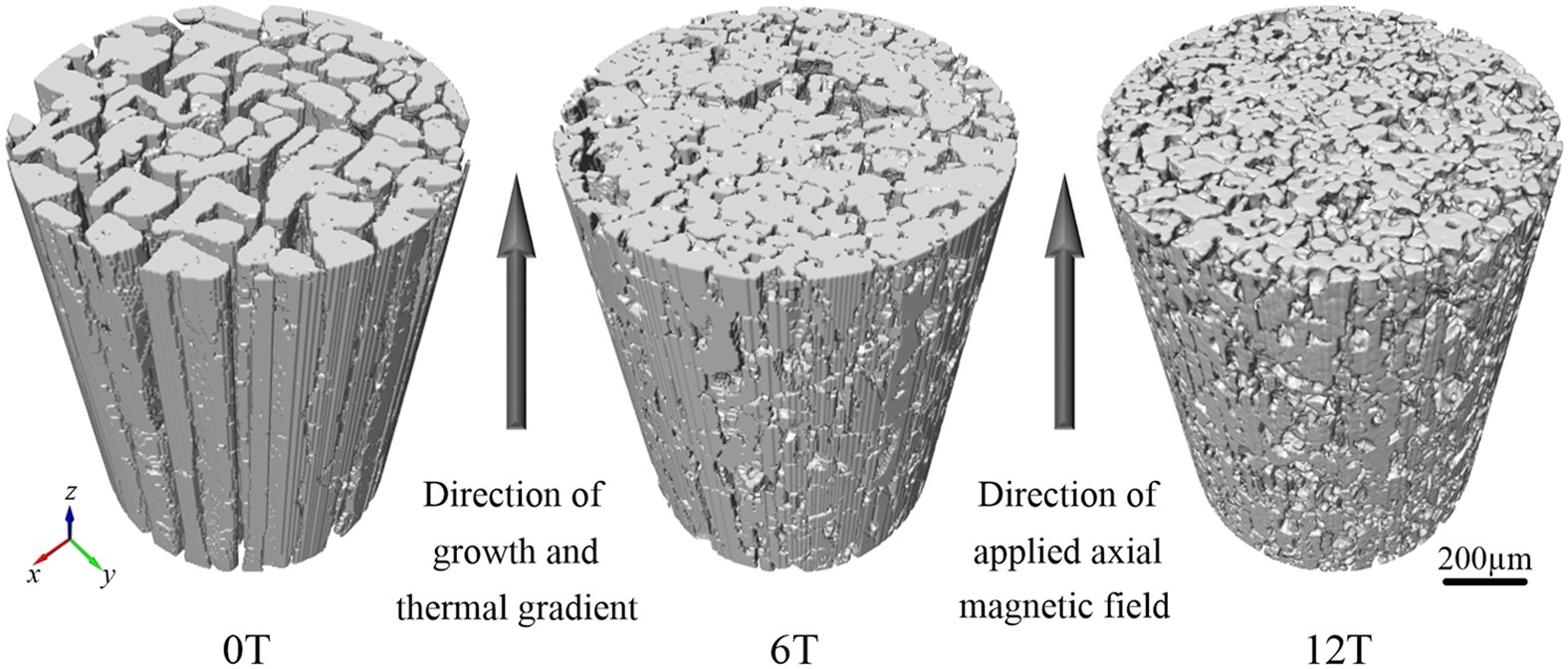 Refinement and growth enhancement of Al2Cu phase during magnetic field  assisting directional solidification of hypereutectic Al-Cu alloy |  Scientific Reports