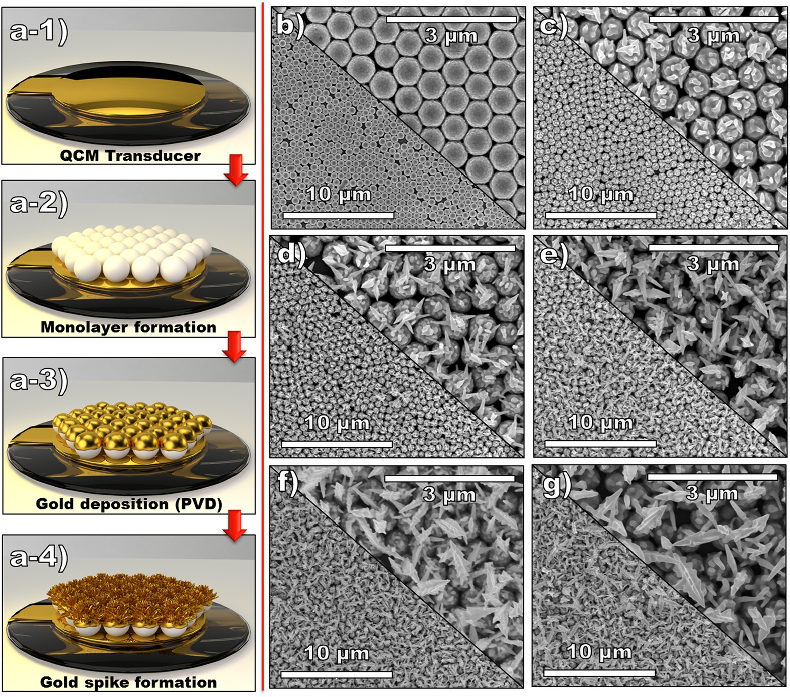 Ordered Monolayer Gold Nano-urchin Structures and Their Size Induced  Control for High Gas Sensing Performance | Scientific Reports