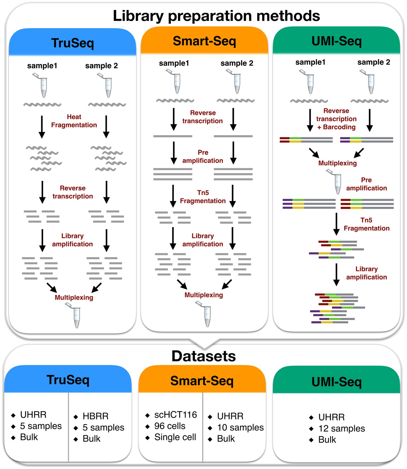 The impact of amplification on differential expression analyses by 