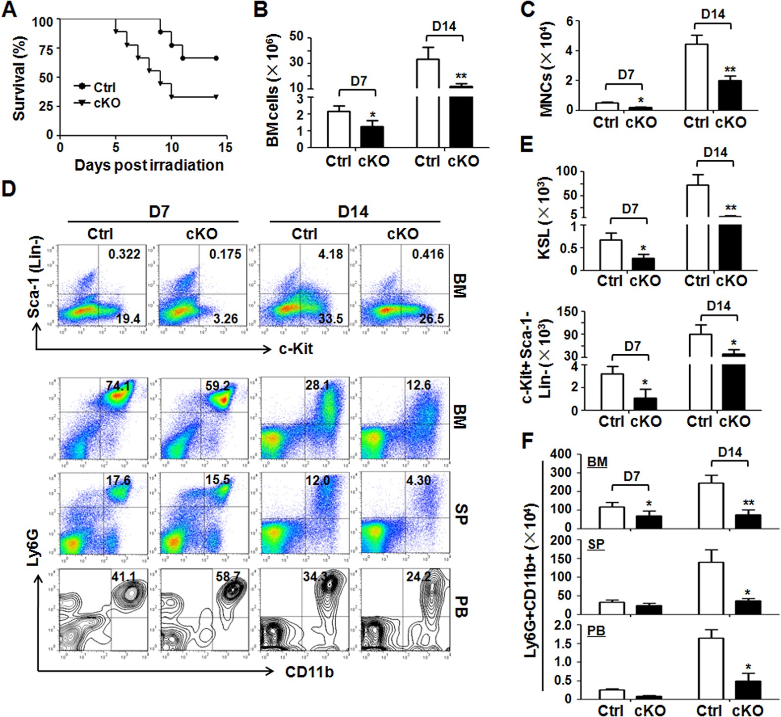 Disruption Of Notch Signaling Aggravates Irradiation Induced Bone Marrow Injury Which Is Ameliorated By A Soluble Dll1 Ligand Through Csf2rb2 Upregulation Scientific Reports