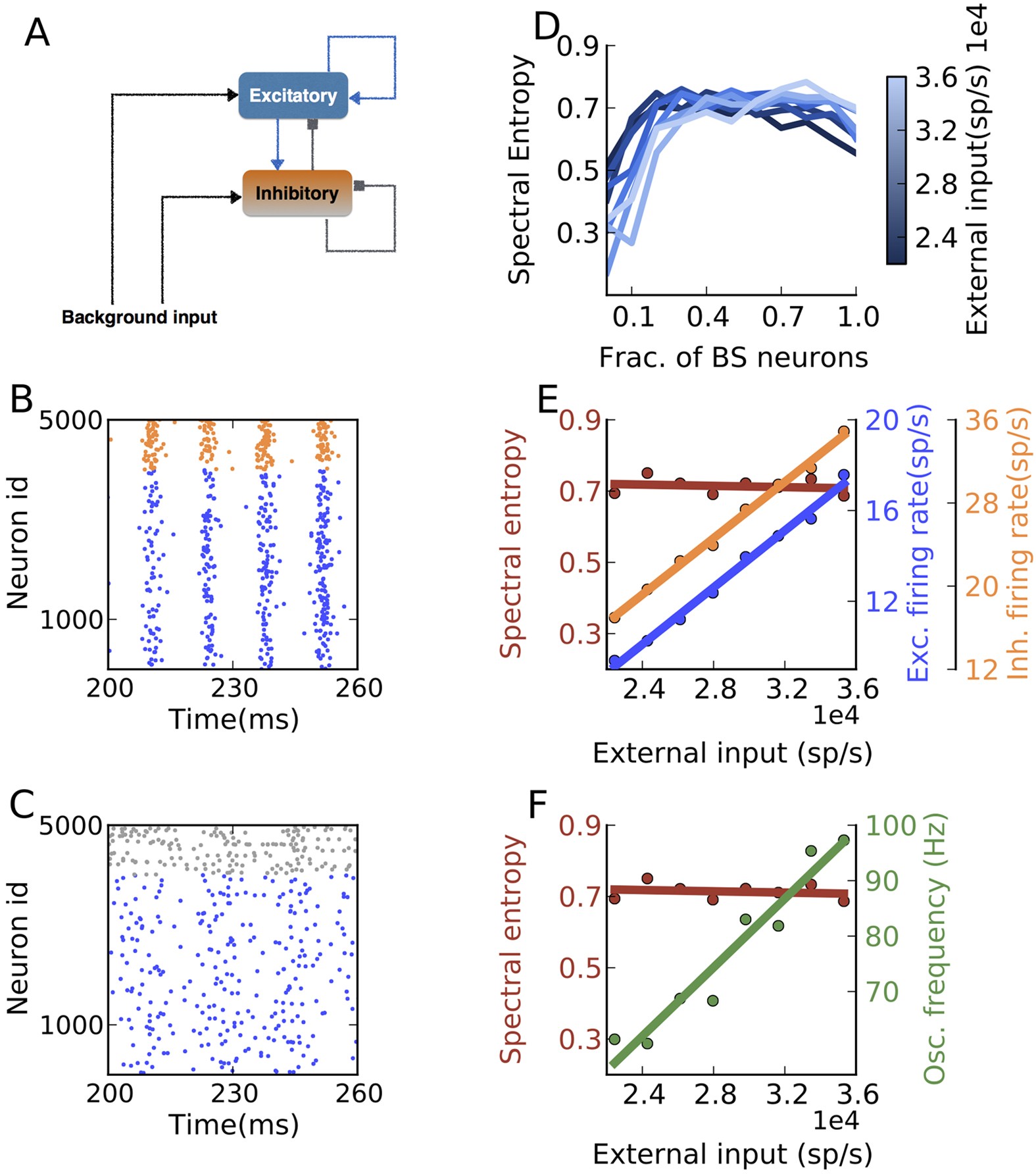Dynamical state of the network determines the efficacy of single neuron  properties in shaping the network activity | Scientific Reports
