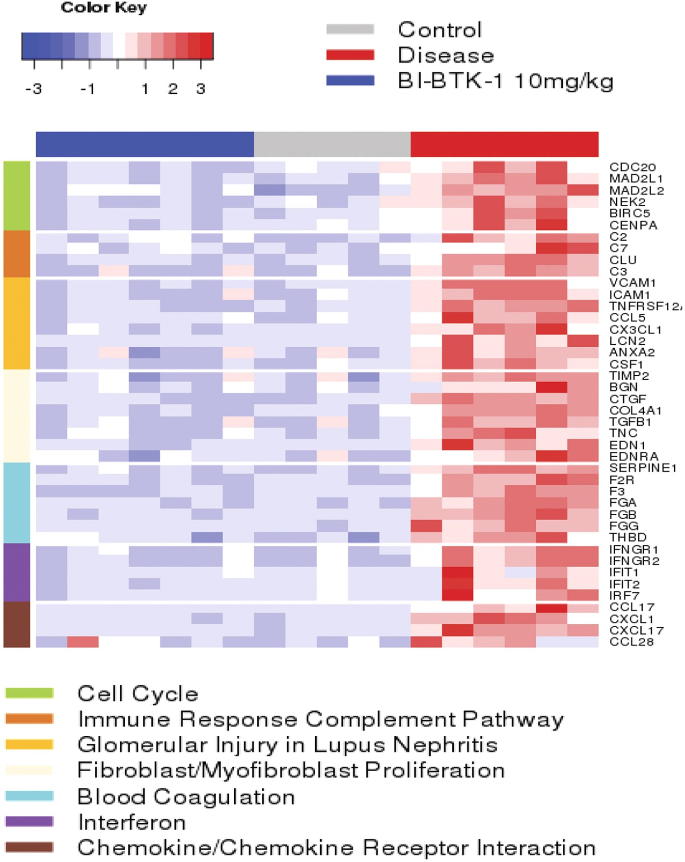 Figure 7: RNA seq analysis.