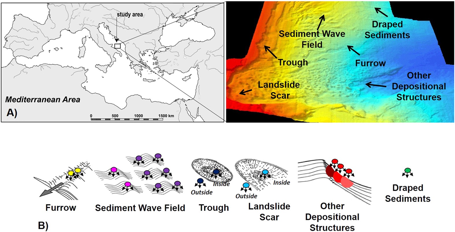 Seafloor Heterogeneity Influences The Biodiversity Ecosystem