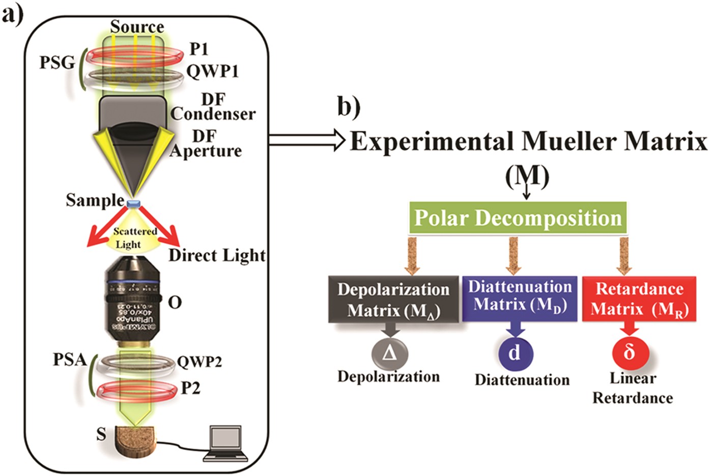 Complete polarization characterization of single plasmonic nanoparticle  enabled by a novel Dark-field Mueller matrix spectroscopy system |  Scientific Reports