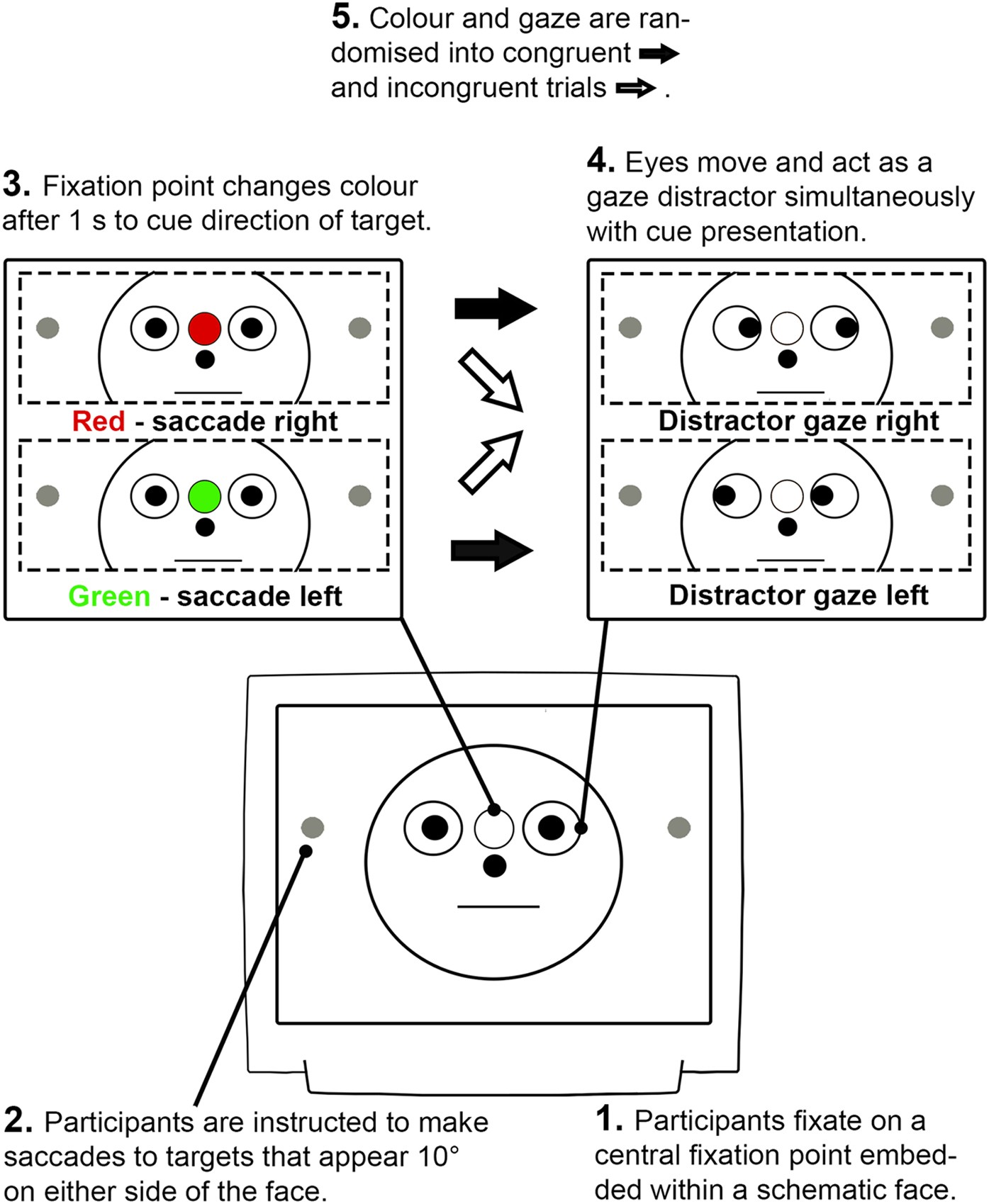 Fatigue Related Impairments In Oculomotor Control Are Prevented By Caffeine  | Scientific Reports