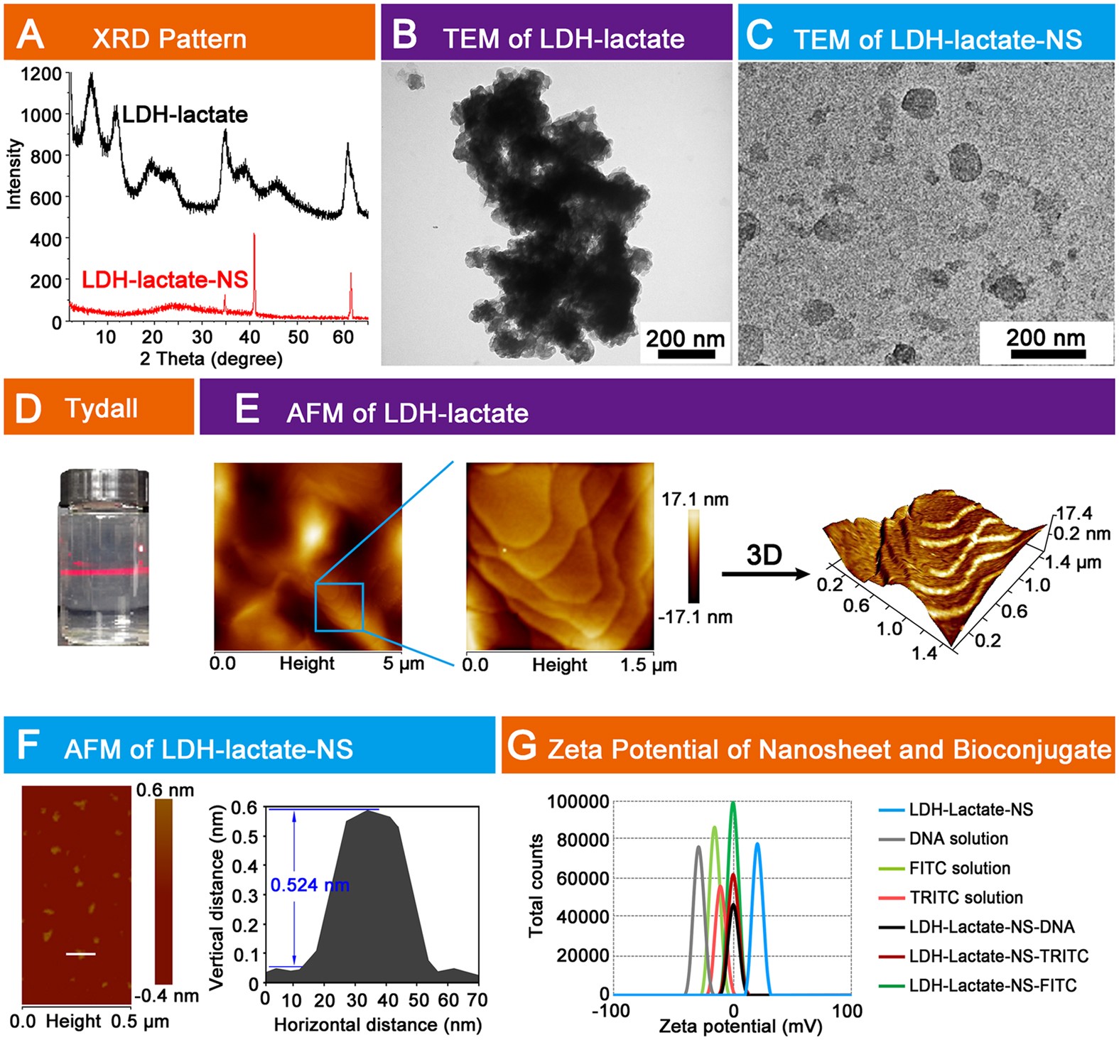 Layered Double Hydroxide Nanotransporter For Molecule Delivery To Intact Plant Cells Scientific Reports