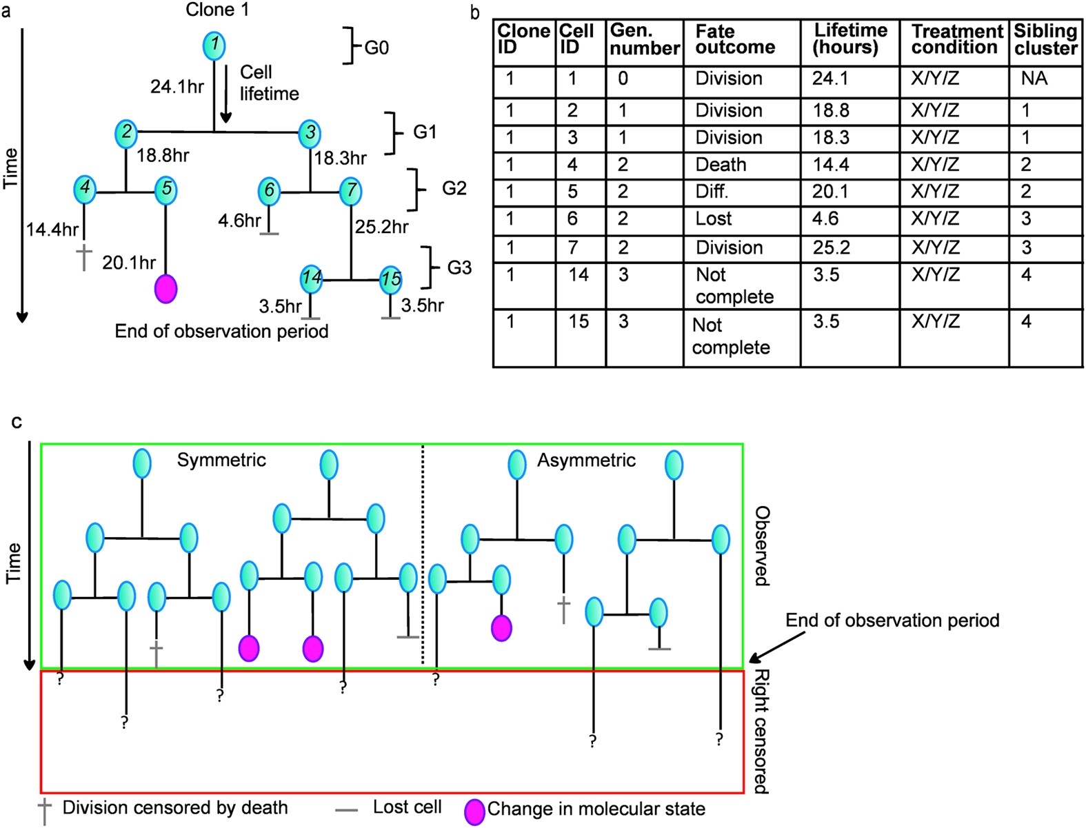 According To The Pedigree Chart Which Statement Must Be True