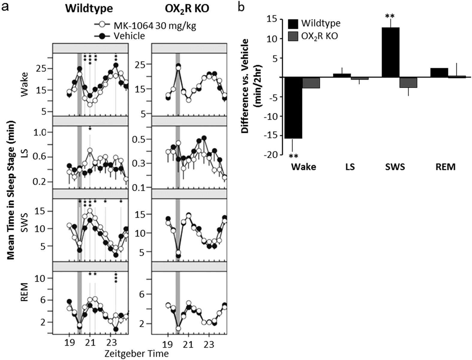 Orexin 2 Receptor Antagonism Is Sufficient To Promote Nrem And Rem Sleep From Mouse To Man Scientific Reports