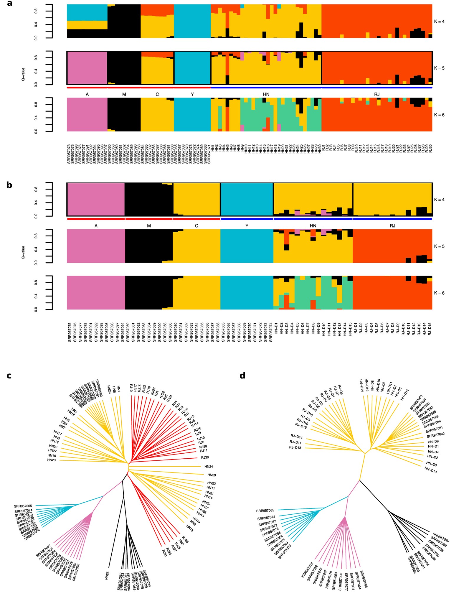 Whole-genome resequencing of honeybee drones to detect genomic selection in  a population managed for royal jelly | Scientific Reports
